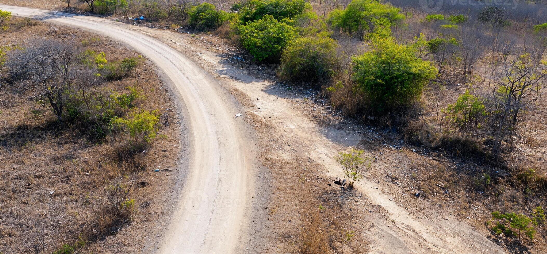A winding dirt road through a dry landscape with sparse vegetation. photo