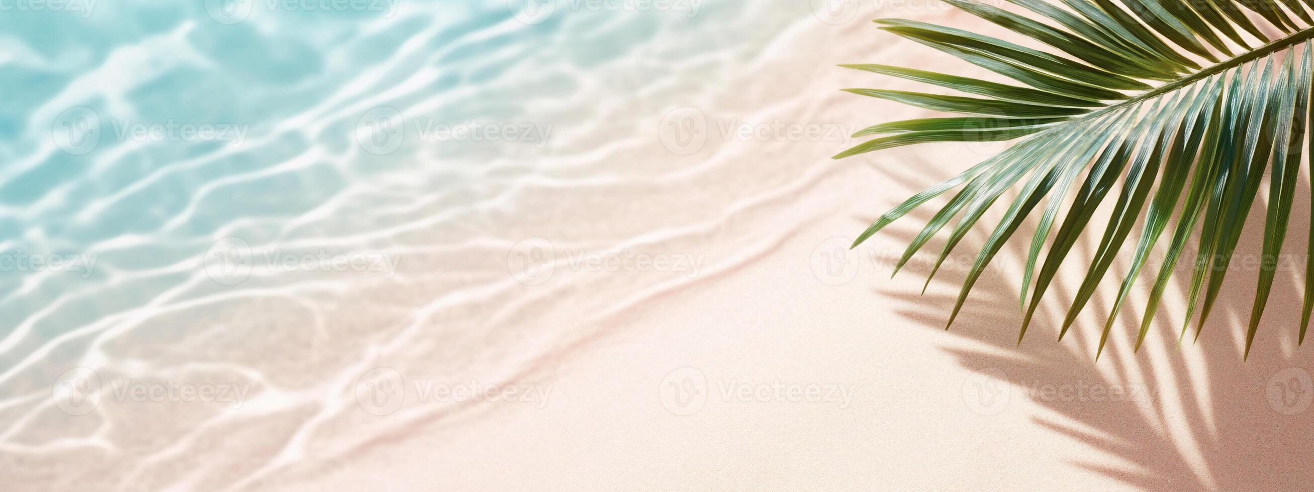 Tranquil beach scene with gentle waves and a palm leaf shadow. photo