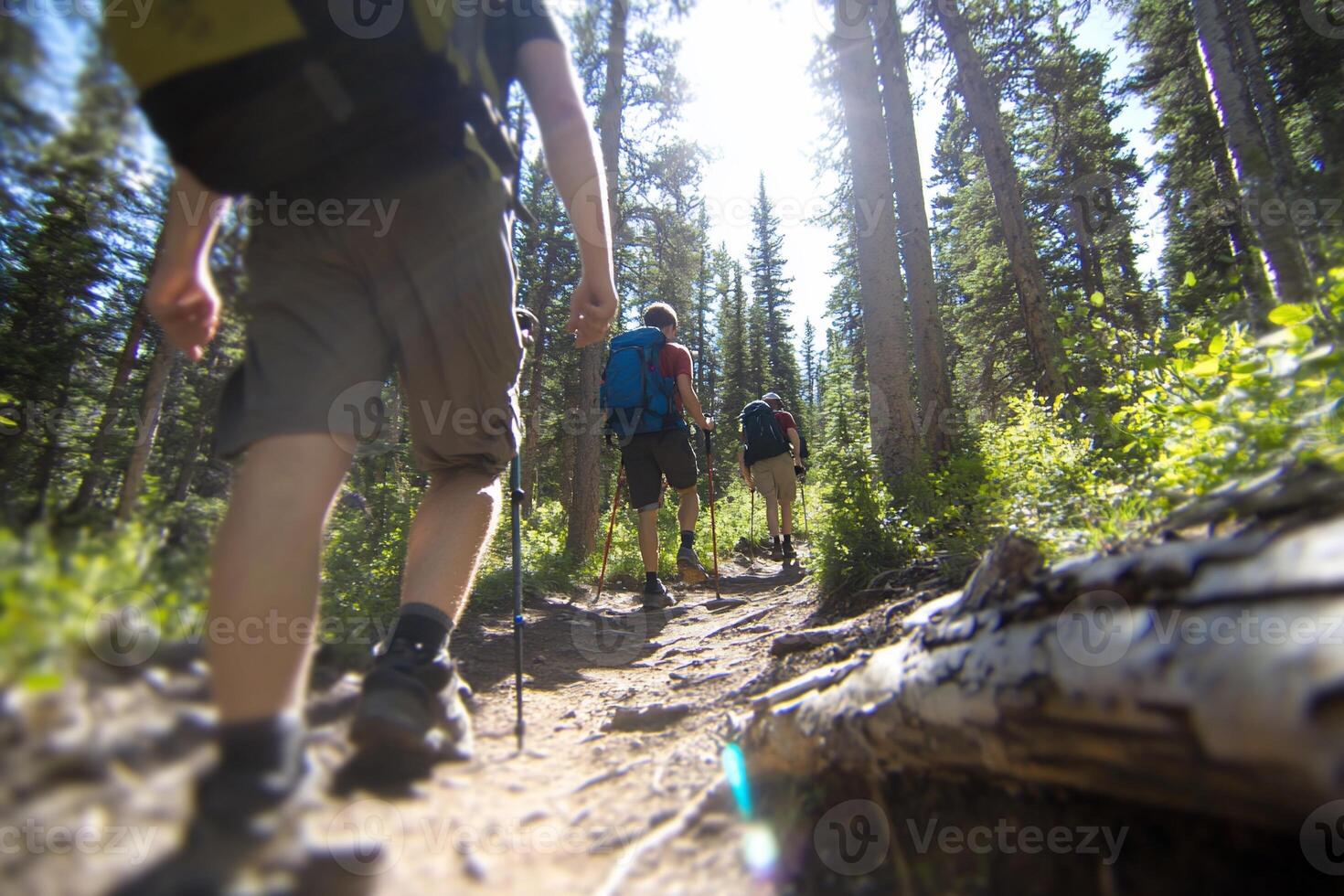 Hikers navigating a sunlit forest trail in nature. photo