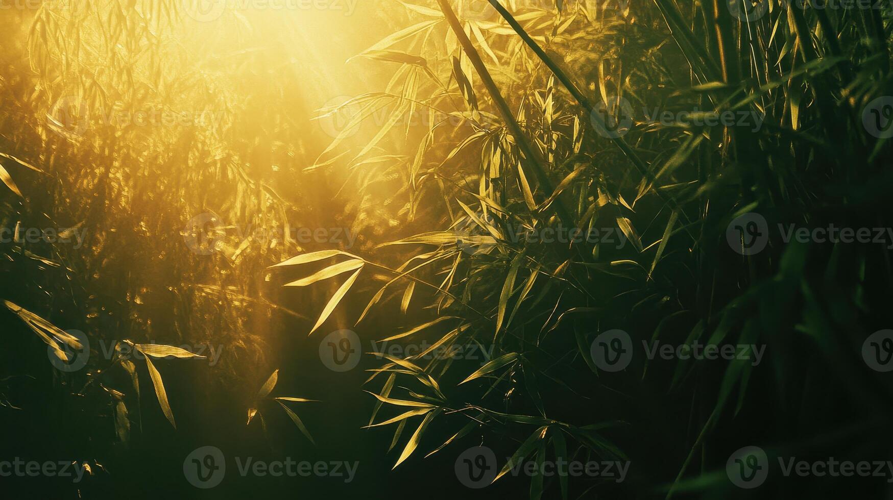 Sunlight filters through dense bamboo foliage, creating a serene and tranquil atmosphere in a lush green environment. photo