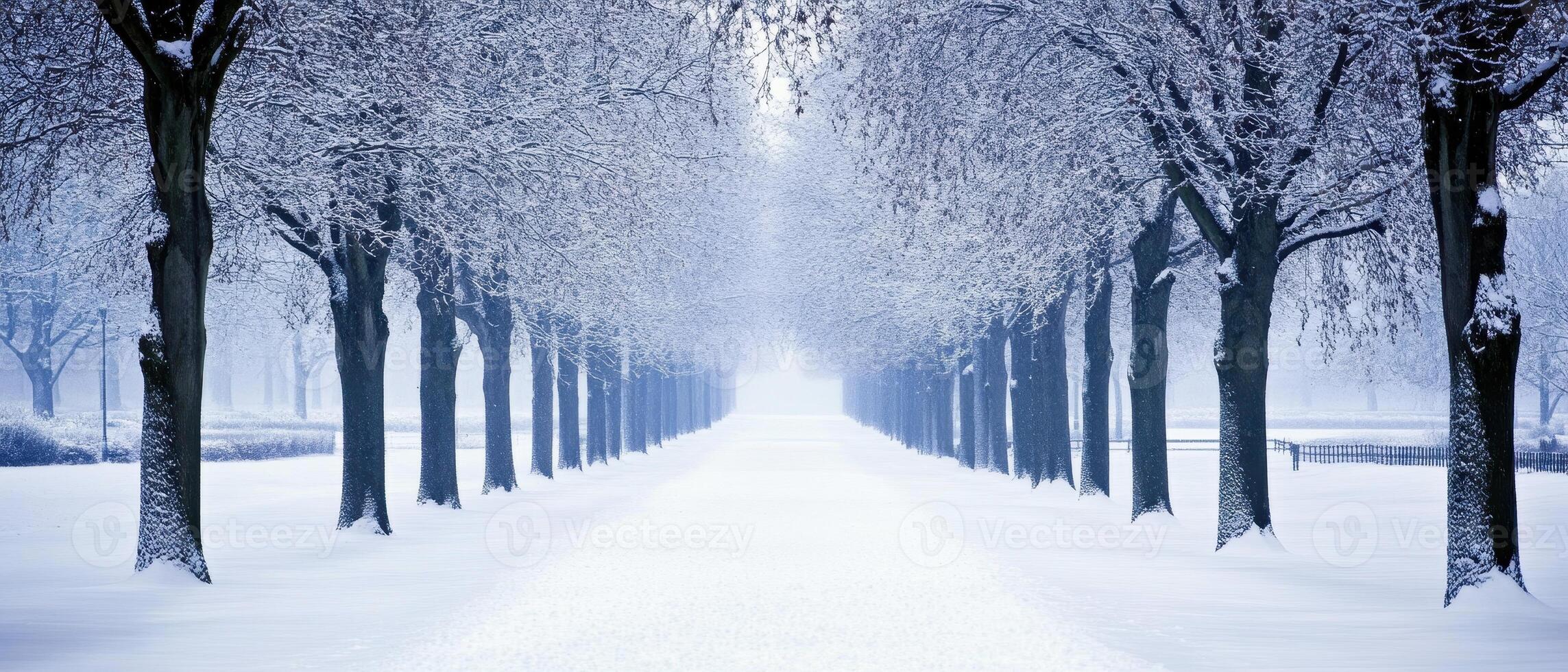 A serene winter scene featuring a snow-covered pathway lined with bare trees, creating a tranquil and peaceful atmosphere. photo