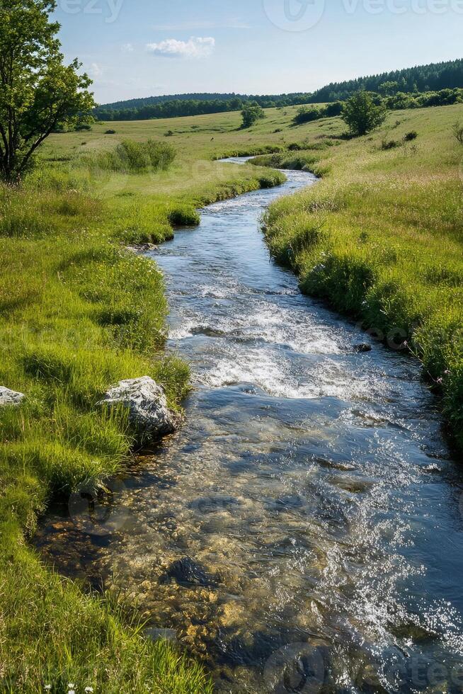 Small river flowing through green meadow under blue sky in summer photo