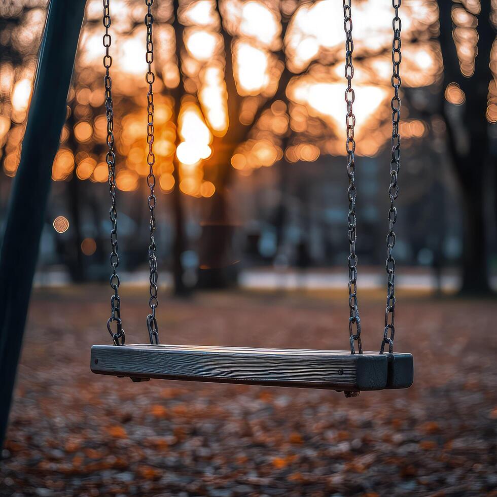 Swing closeup with evening view photo