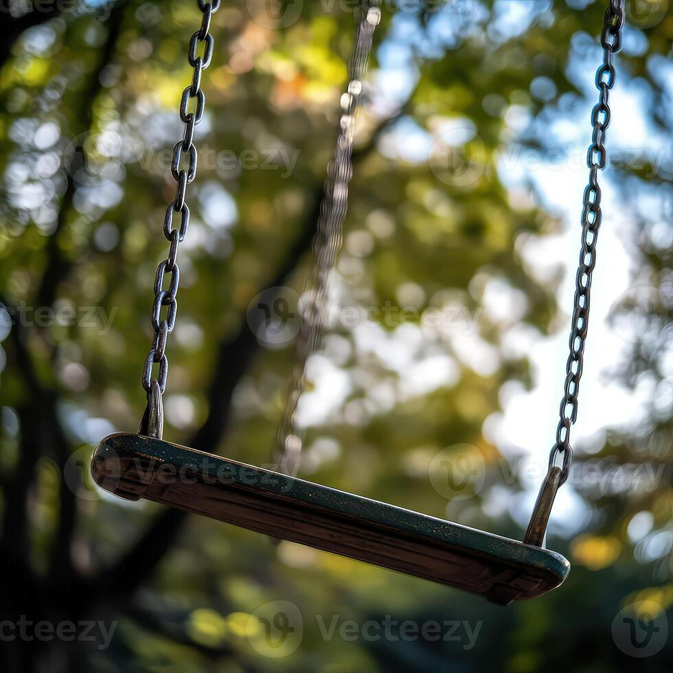 Swing is shown in the background of a tree photo