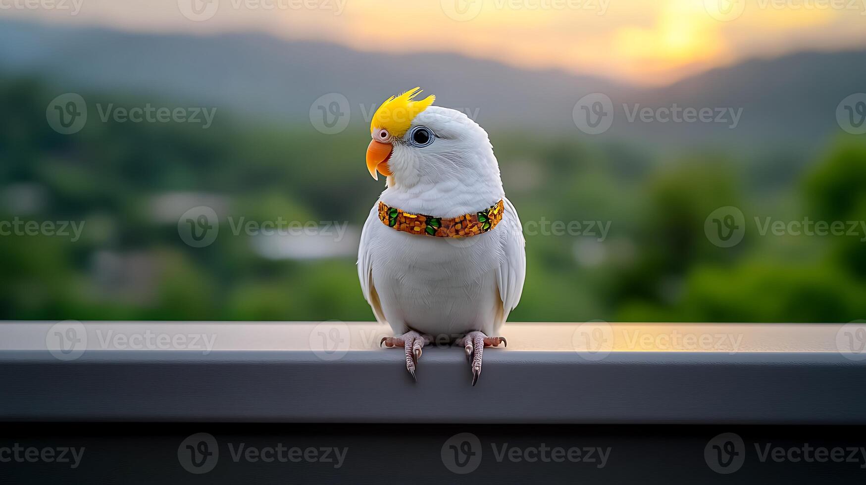 A vibrant bird perched on a railing at sunset, showcasing its colorful collar against a lush backdrop photo