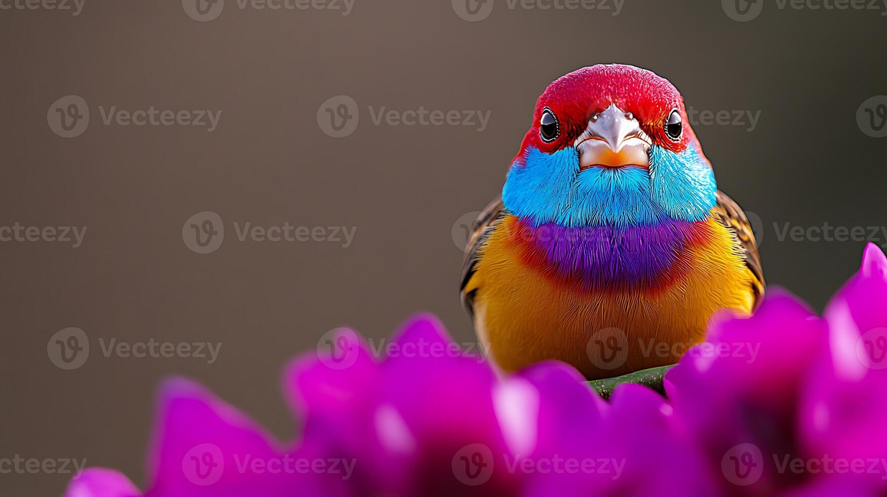 A vibrant bird perched on a colorful flower, showcasing its striking plumage against a blurred background photo