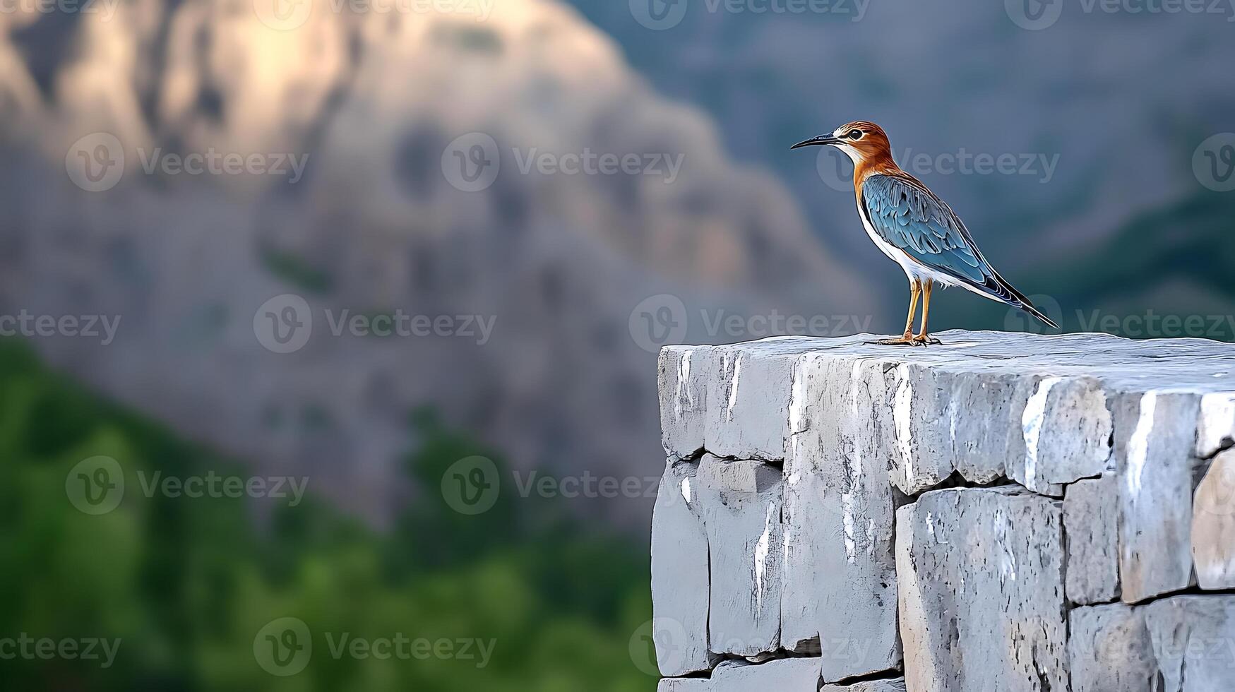 A solitary bird perched on a stone ledge, overlooking a scenic mountainous landscape at dawn photo