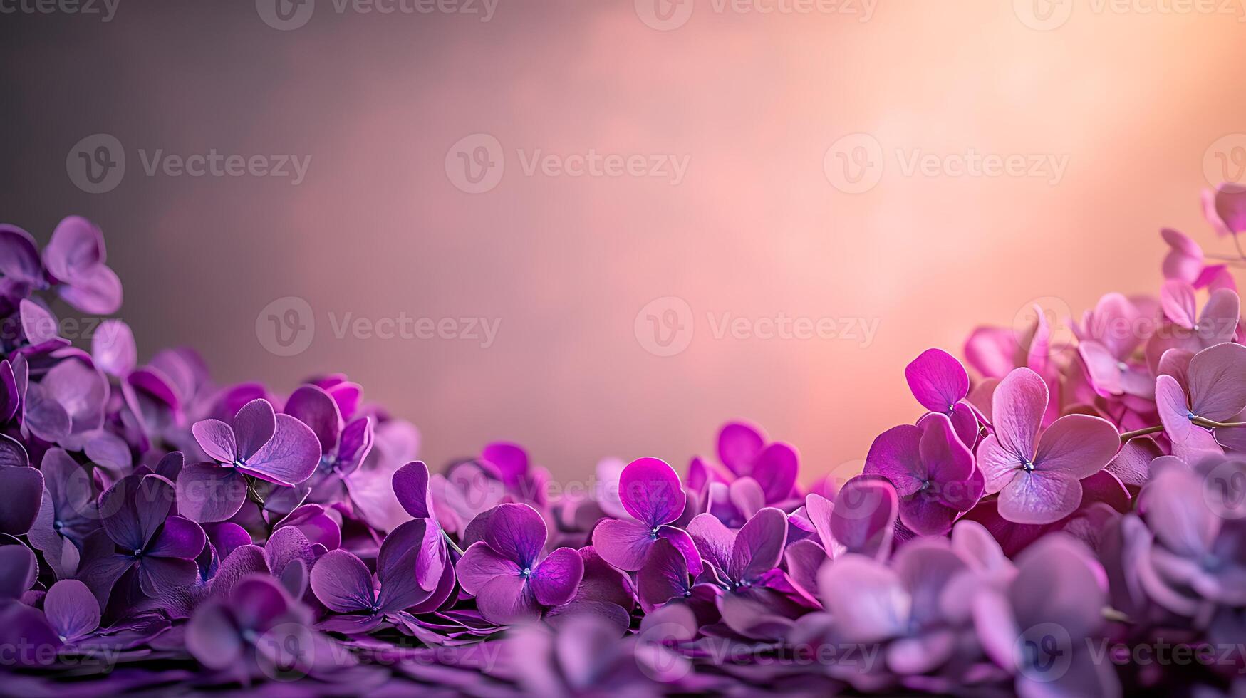 A vibrant arrangement of purple flowers cascading across a soft gradient background photo