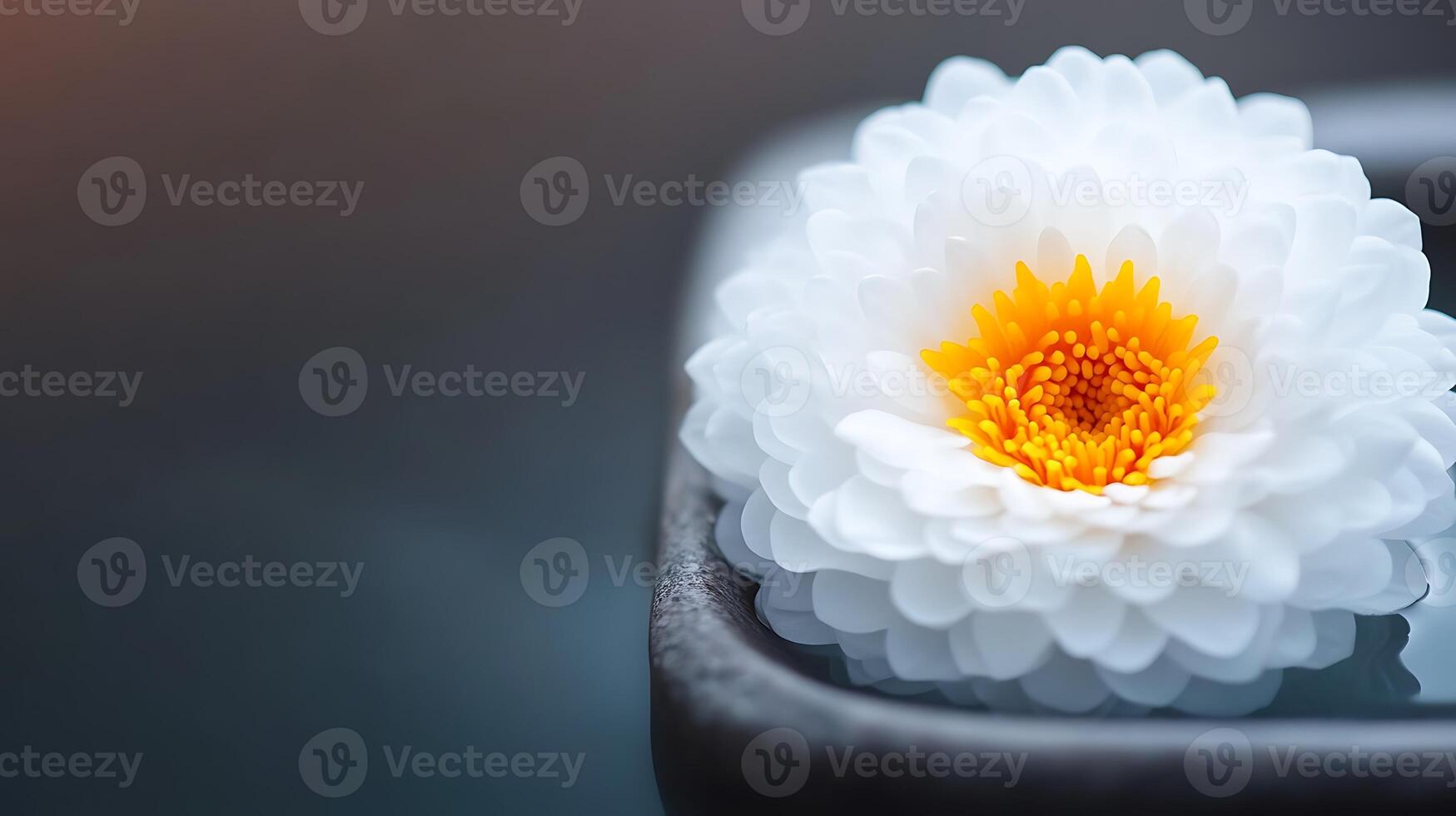A serene close-up of a white flower with yellow center floating in a tranquil bowl of water photo