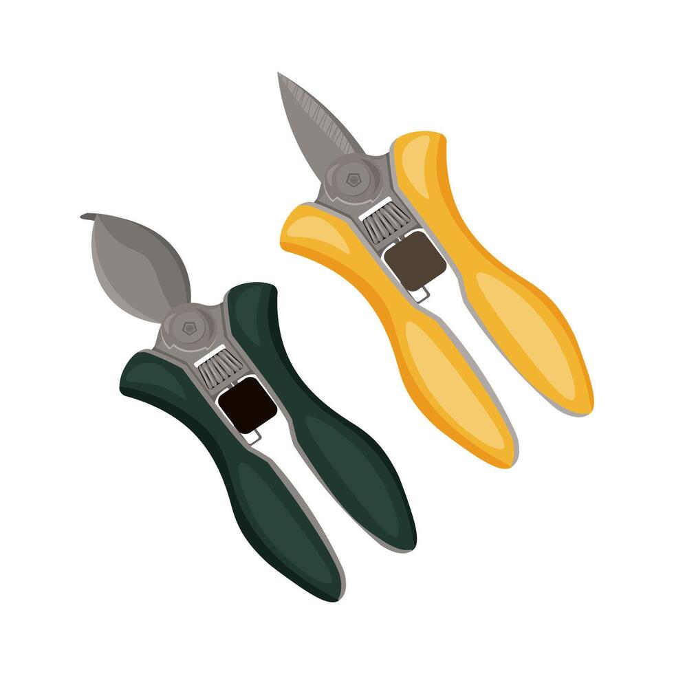 Set of garden tool. Scissors and secateurs. Gardener equipment. Isolated illustration on white background. vector