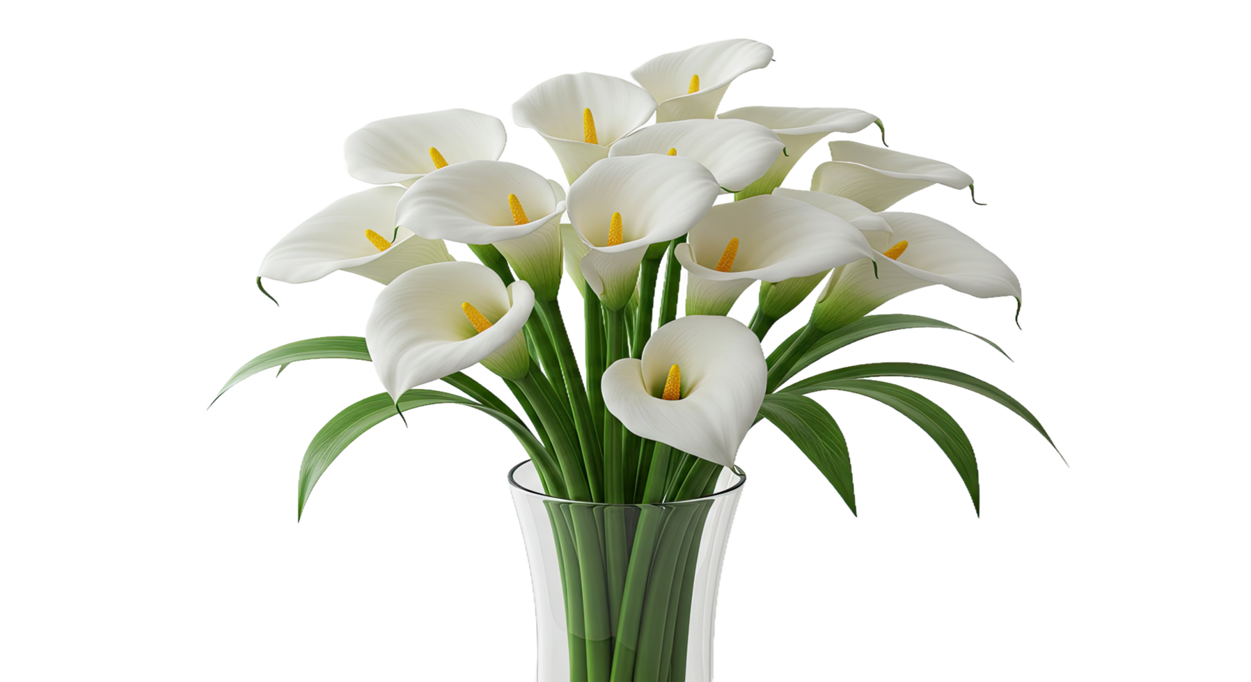 A vase with white calla lilies in it png