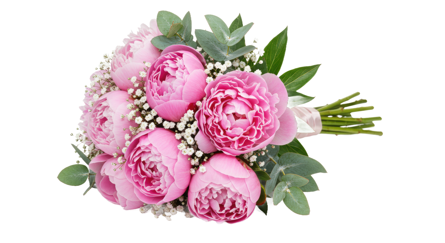 A bouquet of pink peonies with baby's breath png