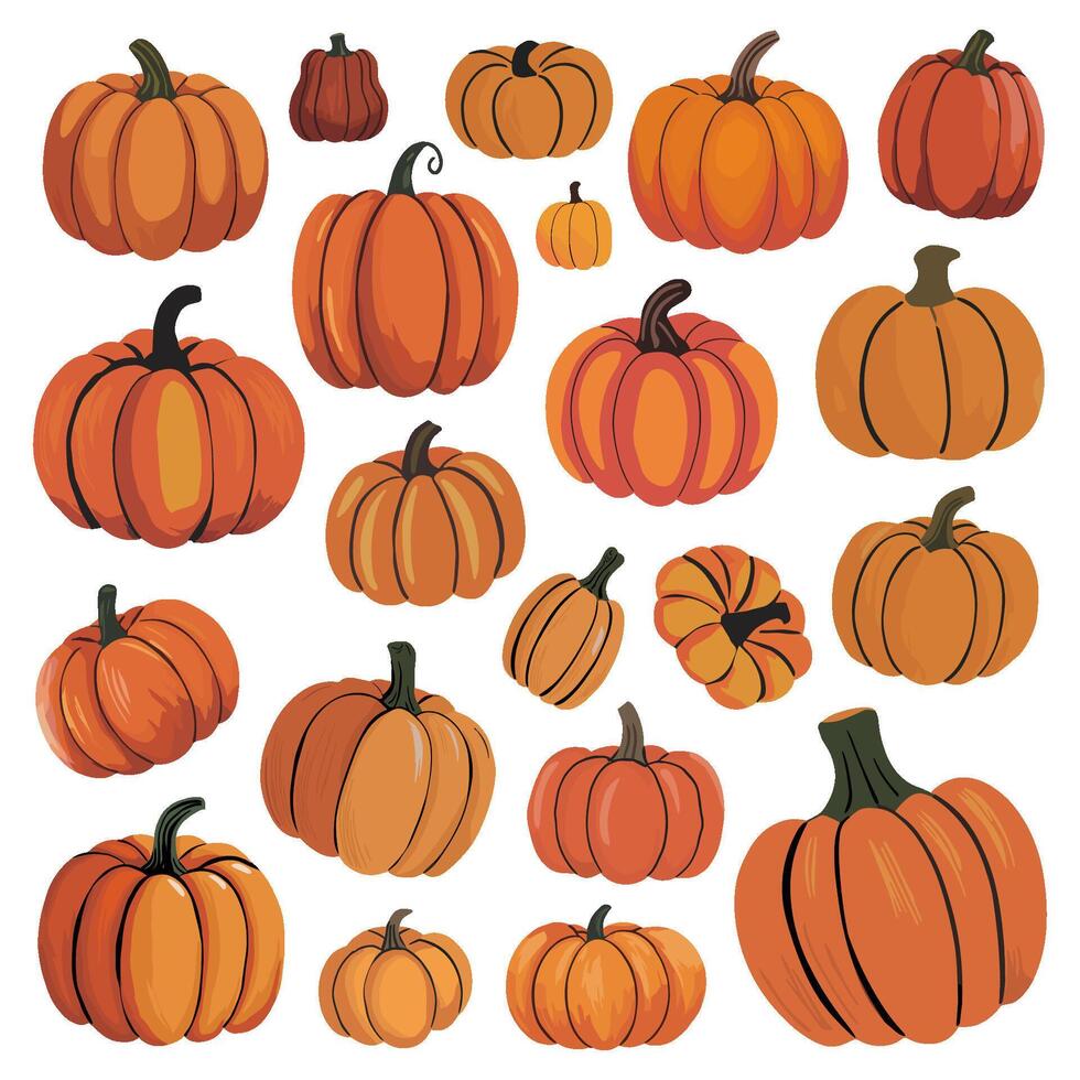 autumn collection of orange pumpkins in various sizes and shapes vector
