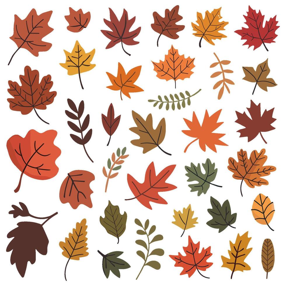 collection of autumn leaves in various shapes and sizes vector