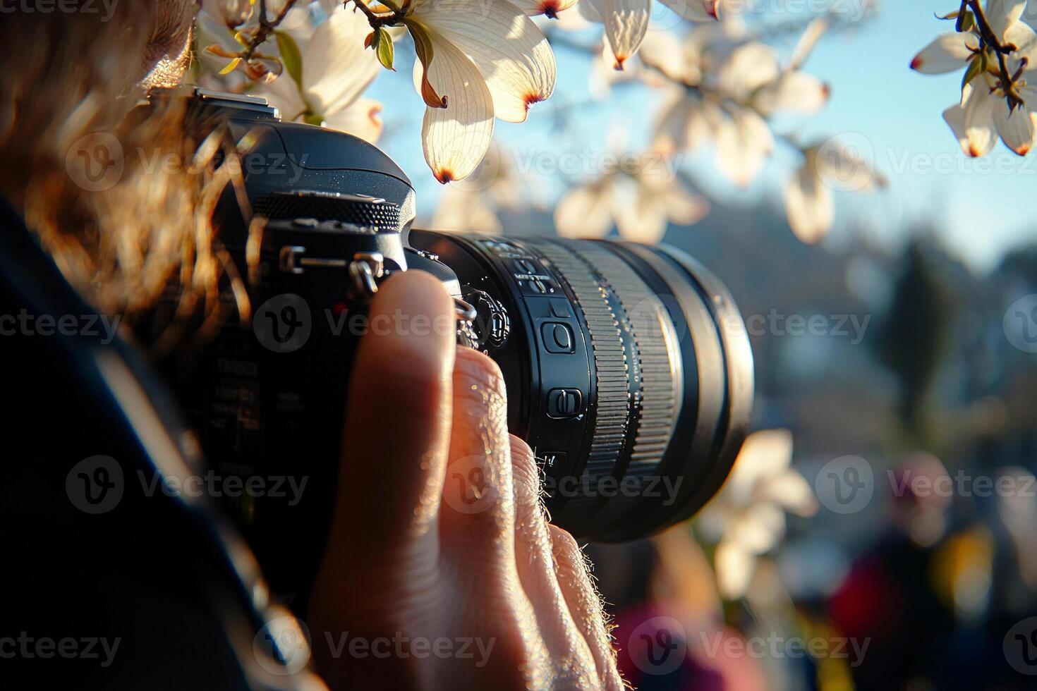 photographer is positioned capture stunning dogwood tree in full bloom. camera is framed vibrant white blossoms highlighting joy of spring and art of nature photography photo