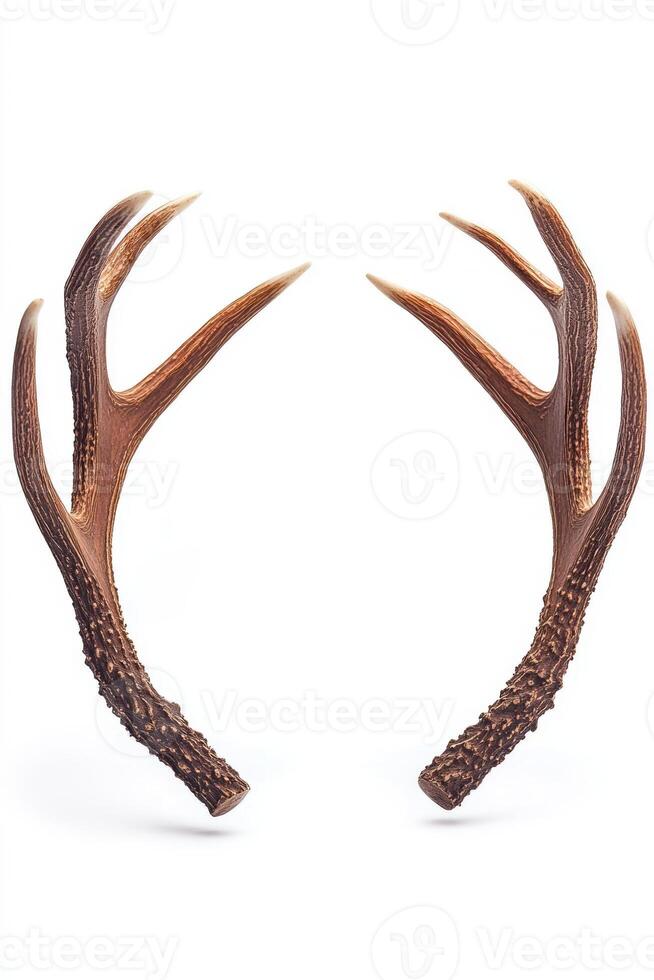 Decorative antler sculpture with intricate detailing, showcasing a rustic charm. photo