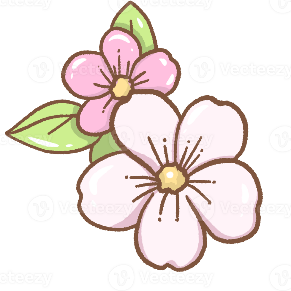 2 Hand drawn illustration cherry blossoms Sakura pastel color isolated on transparent background, nursery decorations, spring png