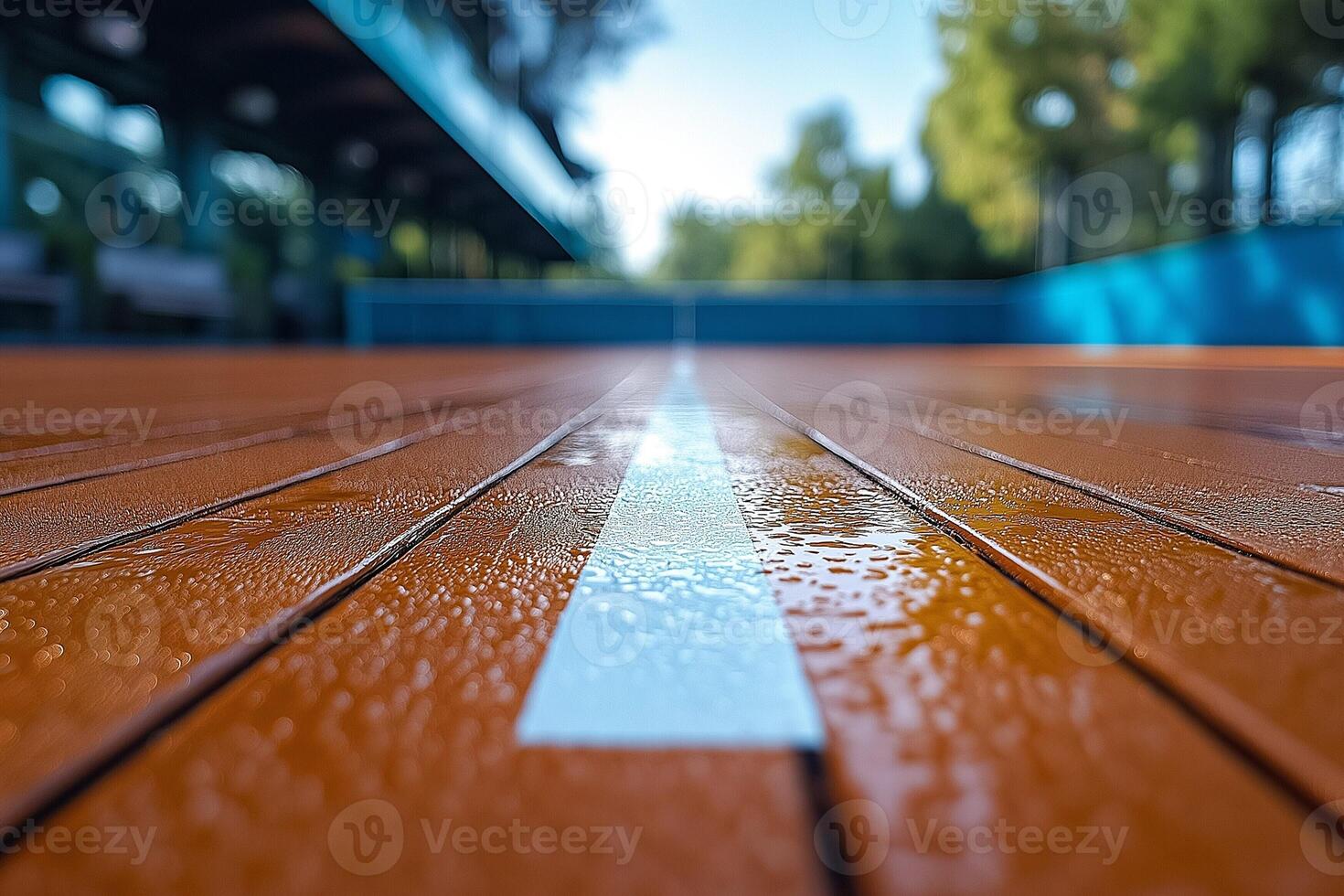 Close-up view of a damp wooden sports court with a white line, reflecting a serene outdoor setting. photo
