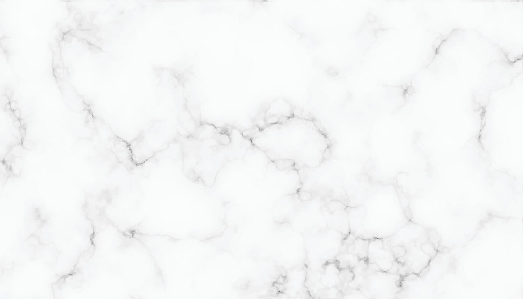 Marble Texture Background vector