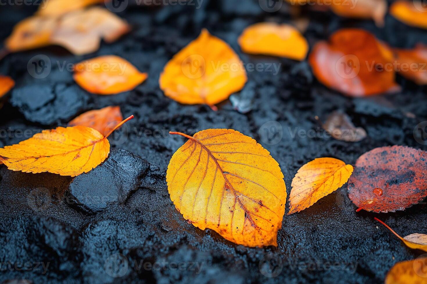 A close-up of vibrant autumn leaves in shades of orange and yellow resting on a dark, textured surface, creating a warm and serene atmosphere. photo
