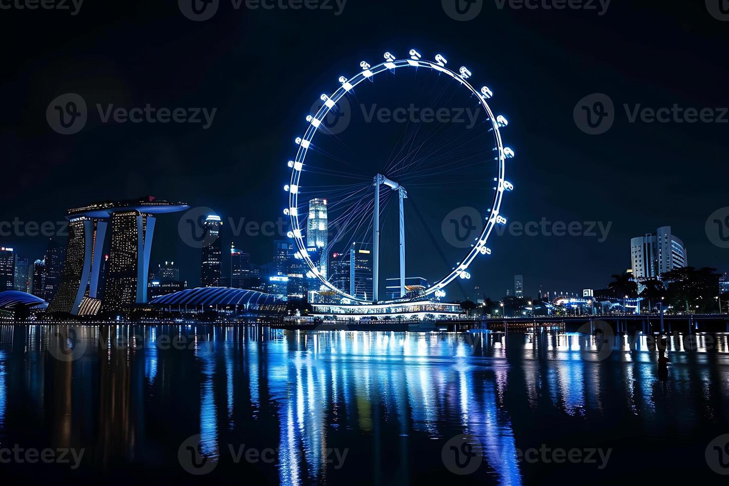 The singapore ferris wheel is lit up at night photo