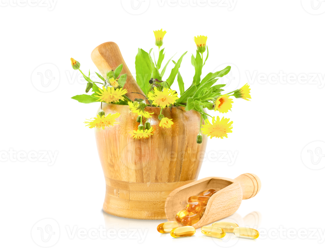 Concepts of Alternative Medicine. Isolated Mortar with Pestle png