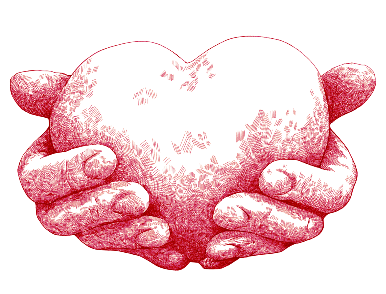 Hand drawn, pen and ink style, red color, hands holding heart illustration. png