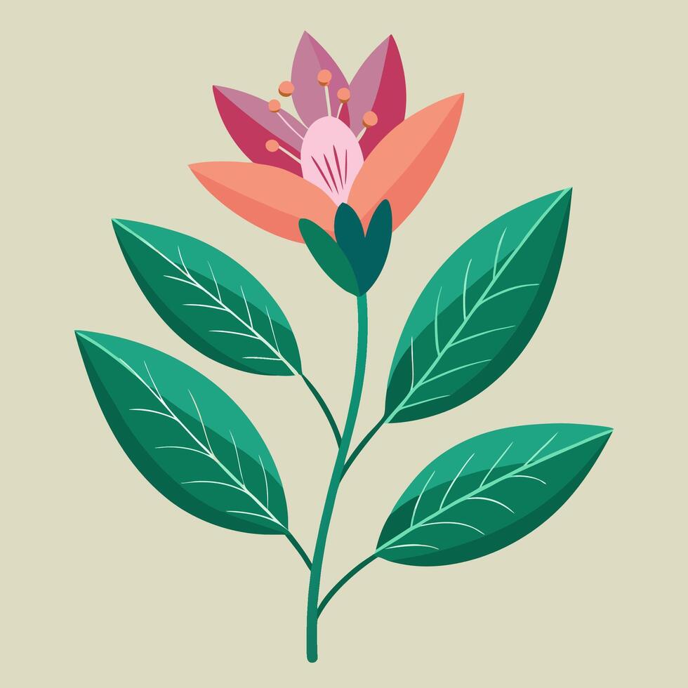 Elegant Botanical Illustrations of Exotic Plants vector