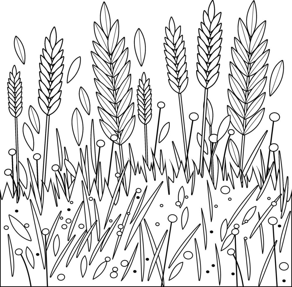 Field of wheat, barley or rye cereal. Oat, wheat ears stalks field background. Black and white coloring page. vector