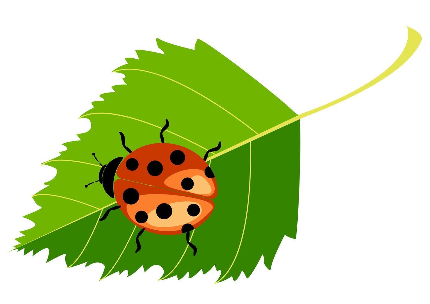 Ladybug resting on a green leaf in a tranquil garden setting during a sunny day vector