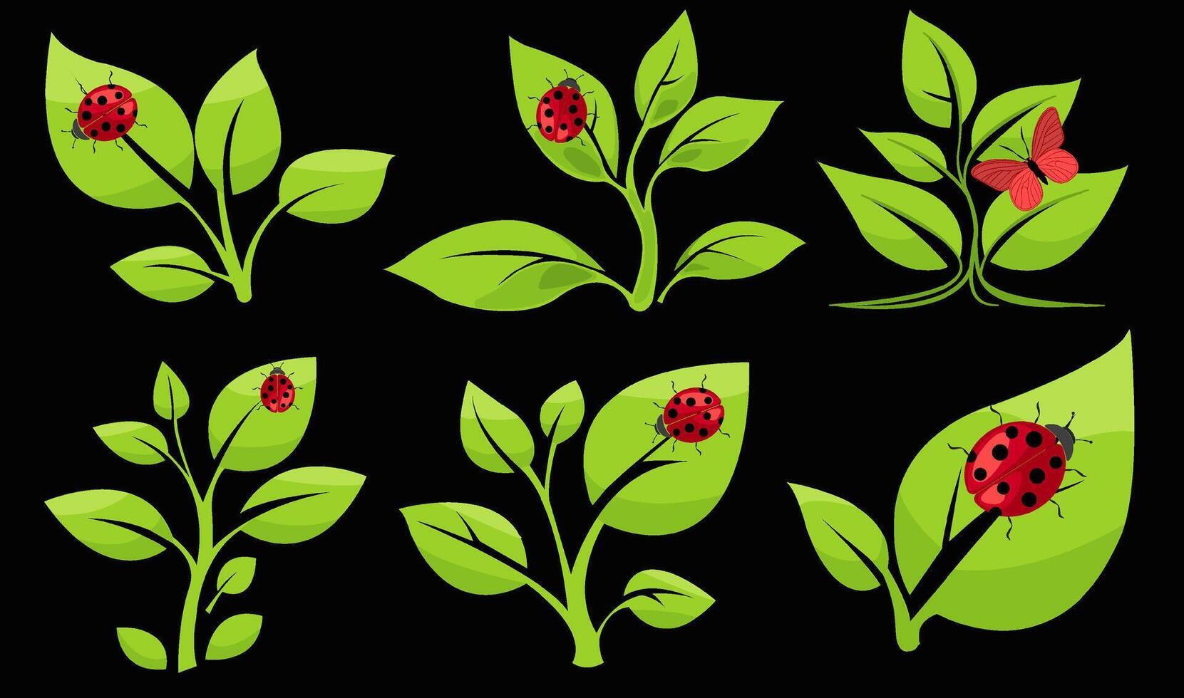 Colorful illustration of ladybugs and butterflies on green leaves with a dark background vector
