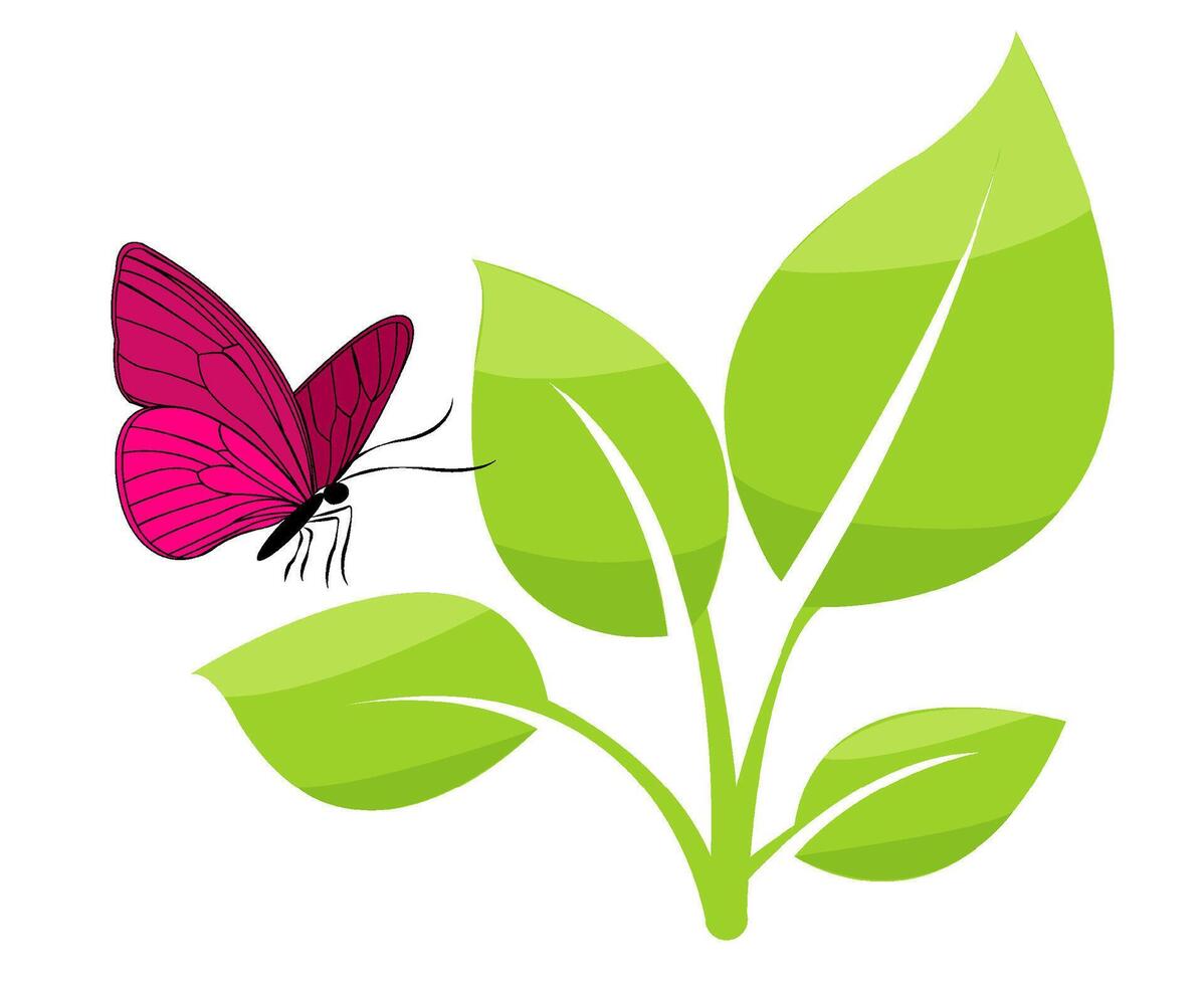 Vivid butterfly resting on vibrant green leaves in a simple illustration depicting nature s beauty and harmony vector