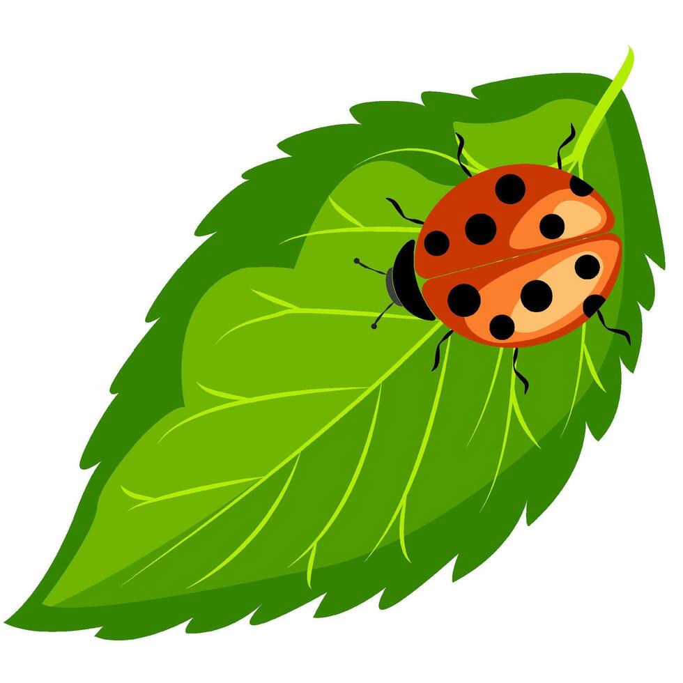 Vibrant ladybug resting on a fresh green leaf in a serene nature setting vector