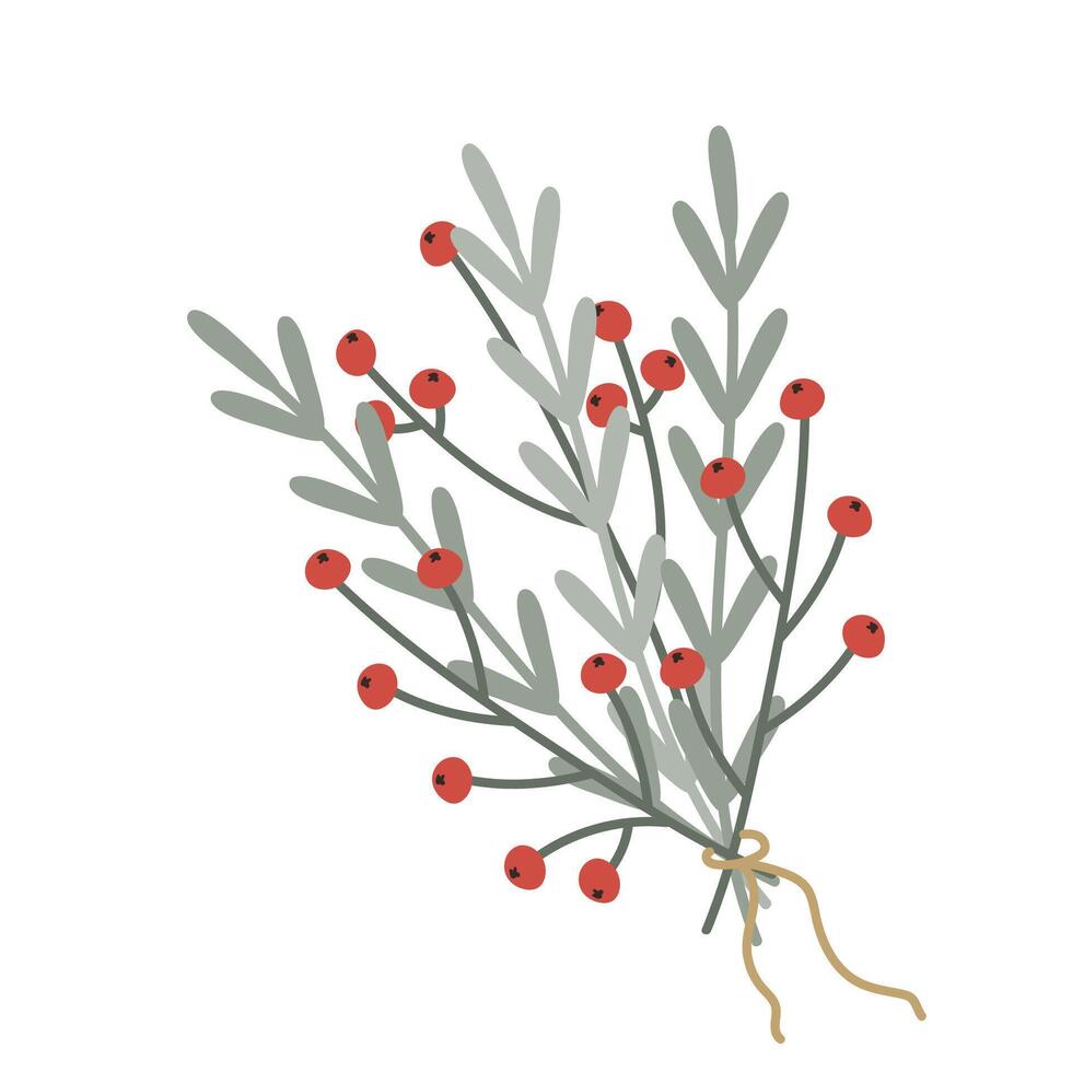 Green winter twig with red berries vector