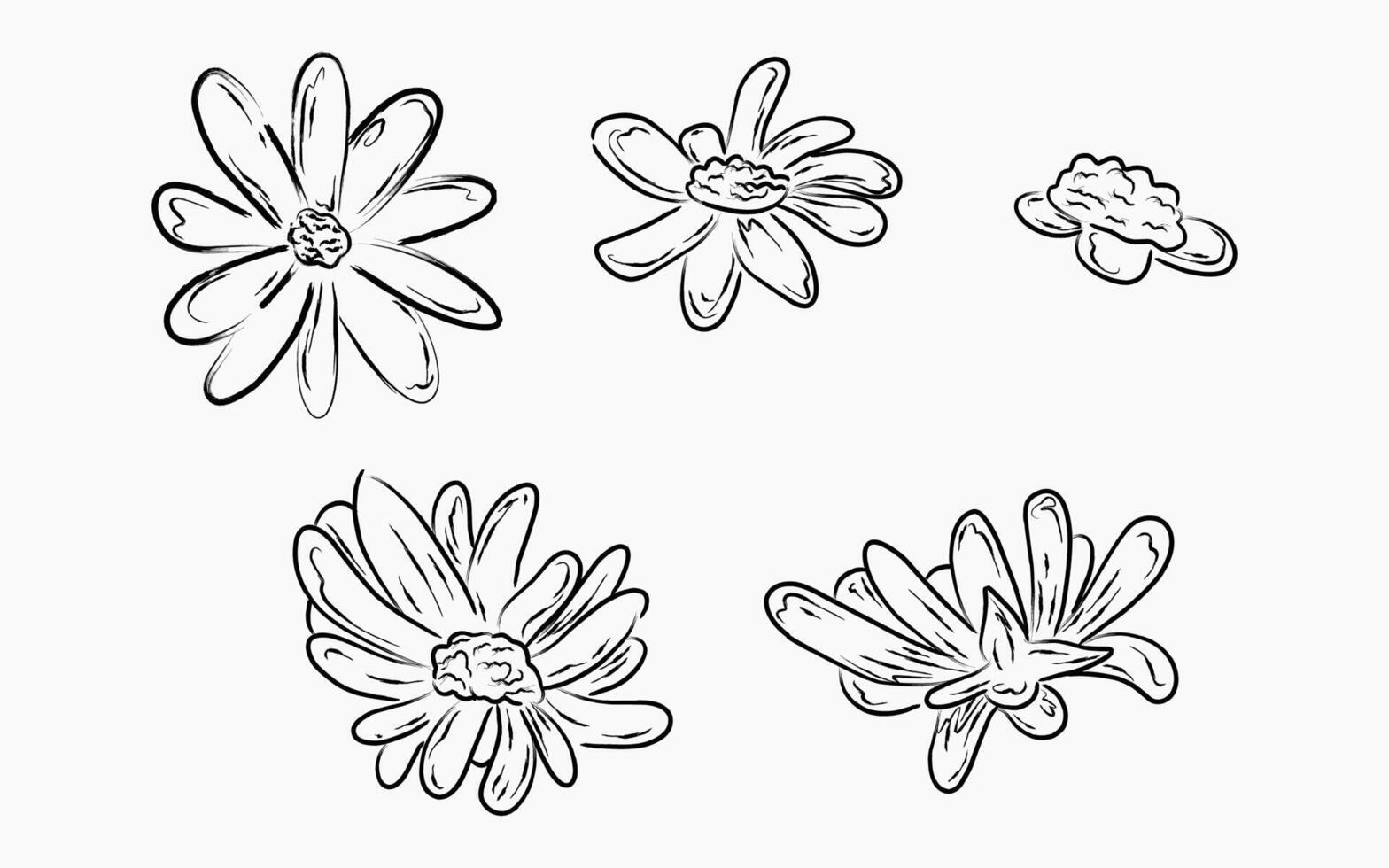 Botanical line art flowers set, black and white hand-drawn illustration vector