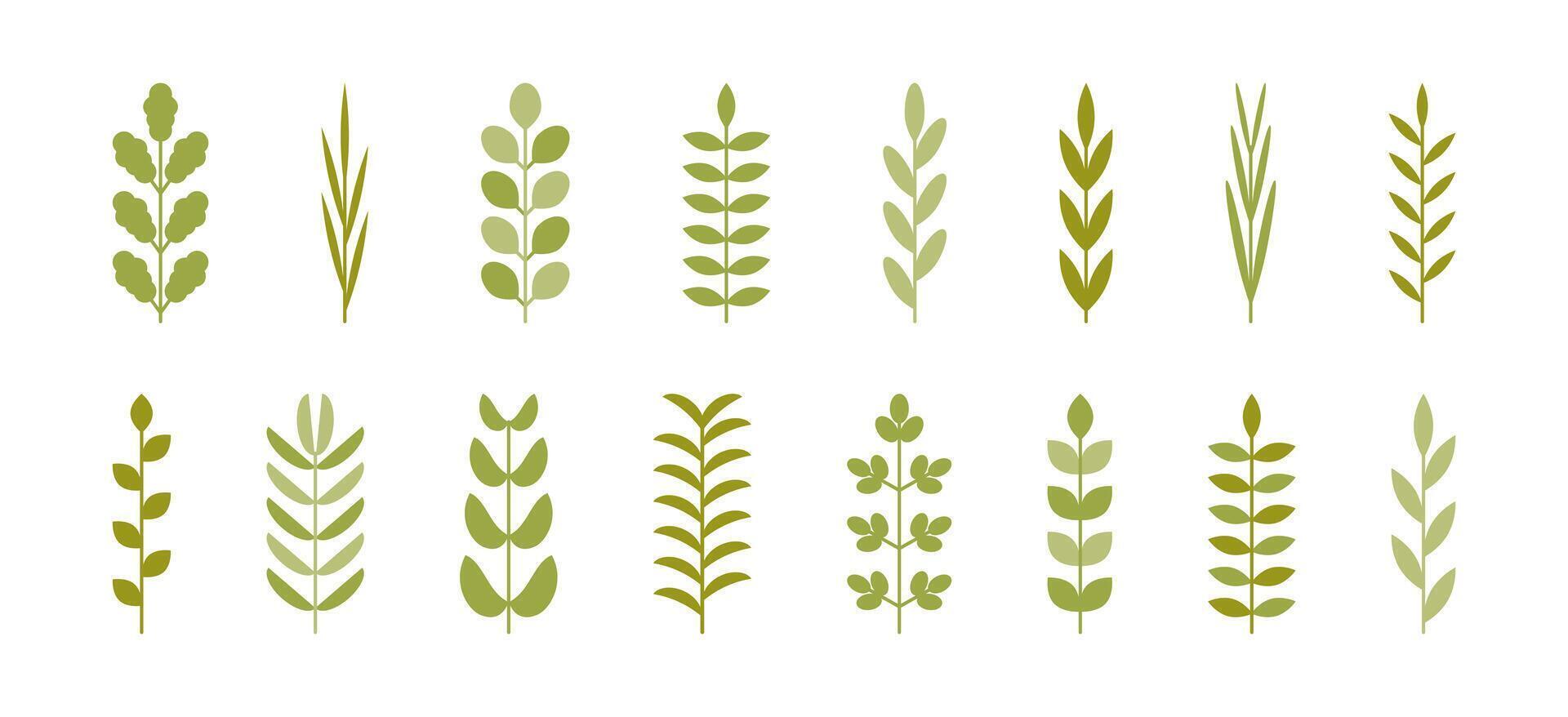 Spring leaves from simple geometric shapes set. Flat style branches with a straight stem for summer card banner poster. Green Plants and herbs botanical elements. Minimalist trendy icons collection. vector