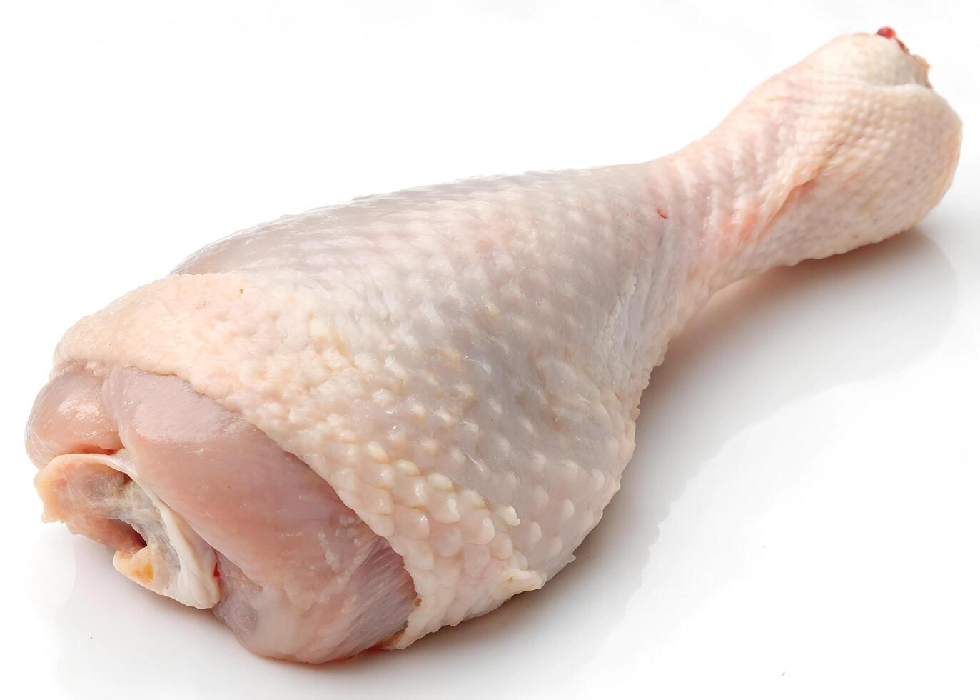 chicken drumstick, isolated on white background photo