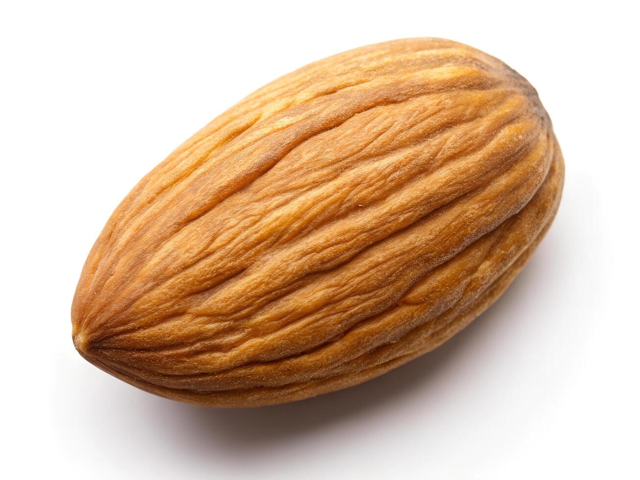 brown peeled almonds, one broken almond half photo