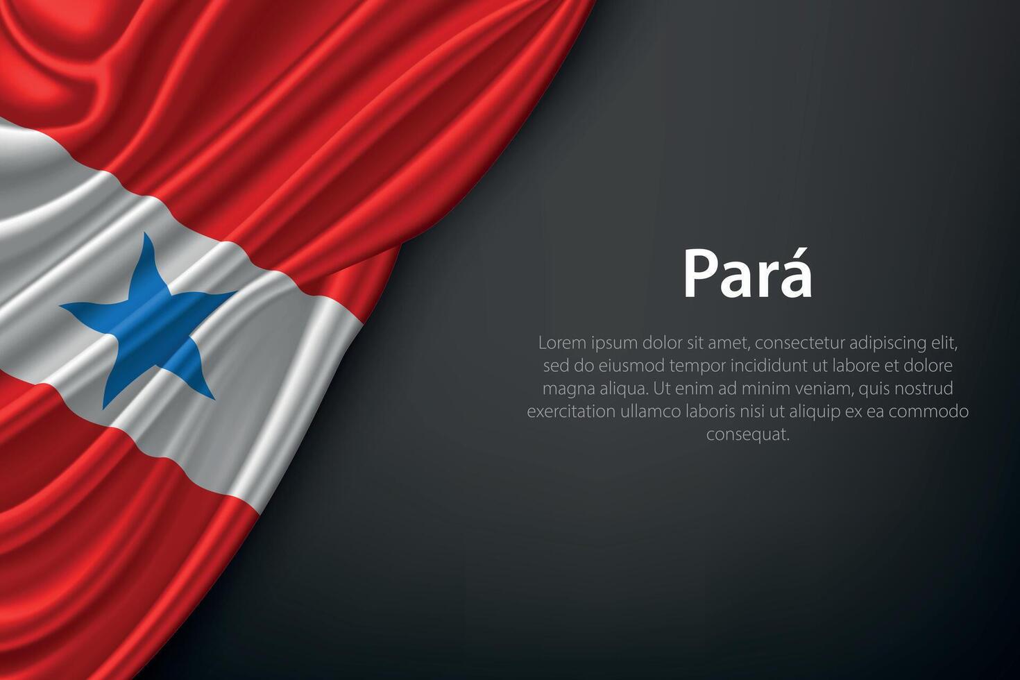 Para state flag on fabric vector