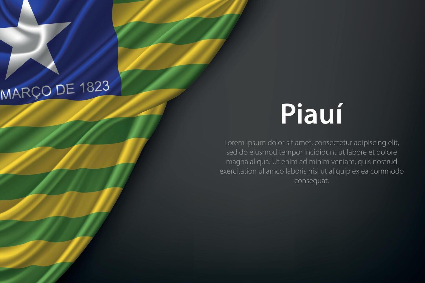 Piaui state flag on fabric vector