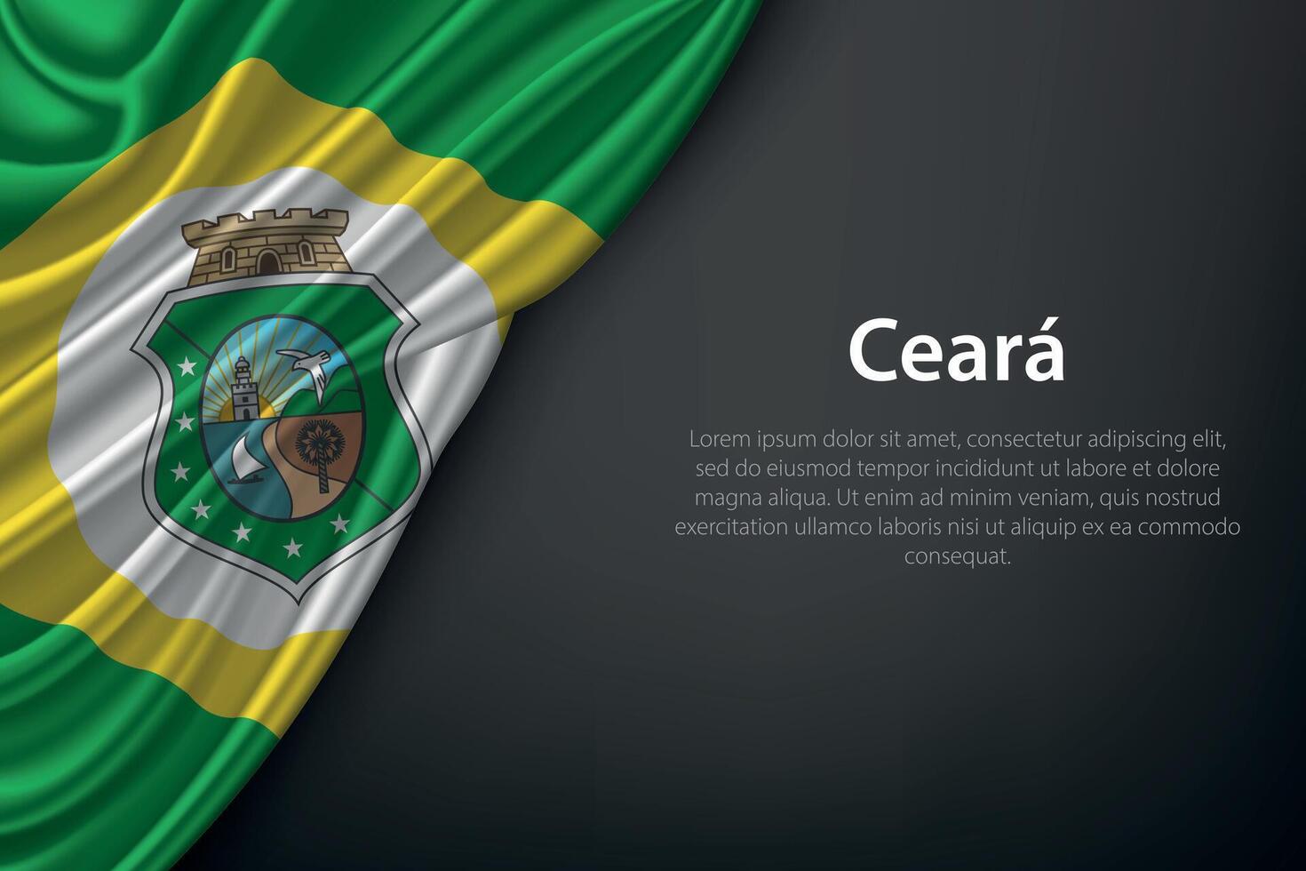 Ceara state flag on fabric vector
