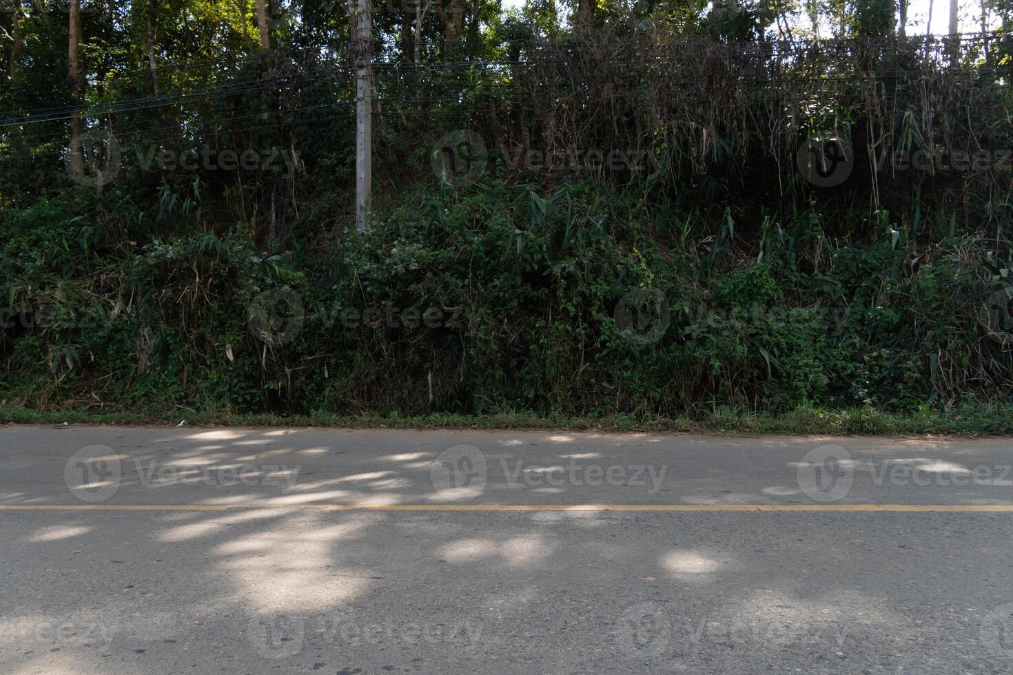 Horizontal view of asphalt road. With a yellow centerline runs alongside dense green vegetation. Shadows from the foliage fall across the road surface. Simple roadside scene. photo