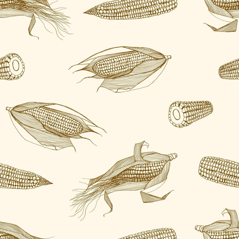 Natural seamless pattern with cobs of sweet corn hand drawn with contour lines on light background. Monochrome backdrop with corncobs. illustration for textile print. wrapping paper, wallpaper vector