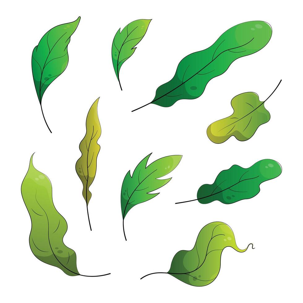 Green forest leaf set. Natural leaves herbs. Cartoon leaves collection, Flat cartoon isolated on white background. vector