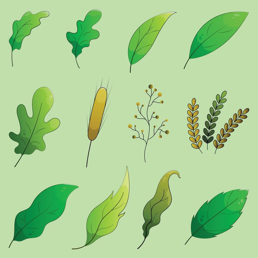 Green forest leaf set. Natural leaves herbs. Cartoon leaves collection. vector