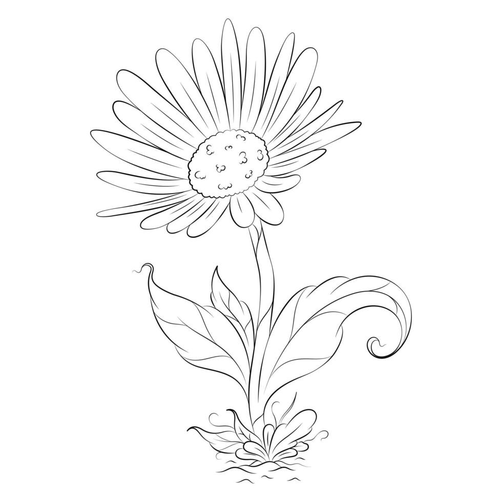 Black and white daisy flower with branches and leaves. Hand drawn line leaves branches and blooming. vector