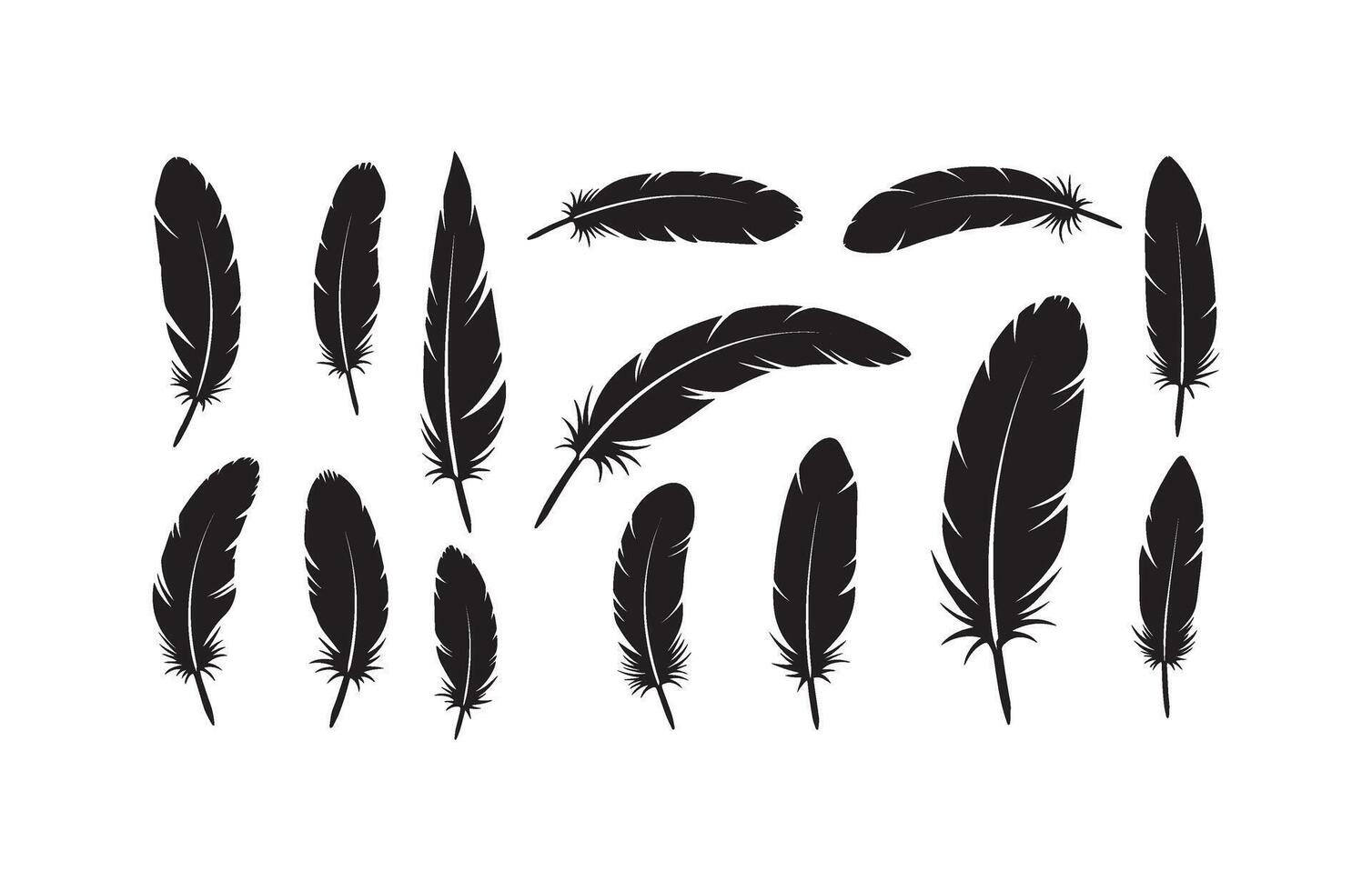 Decorative Plume Design Artistic Style vector