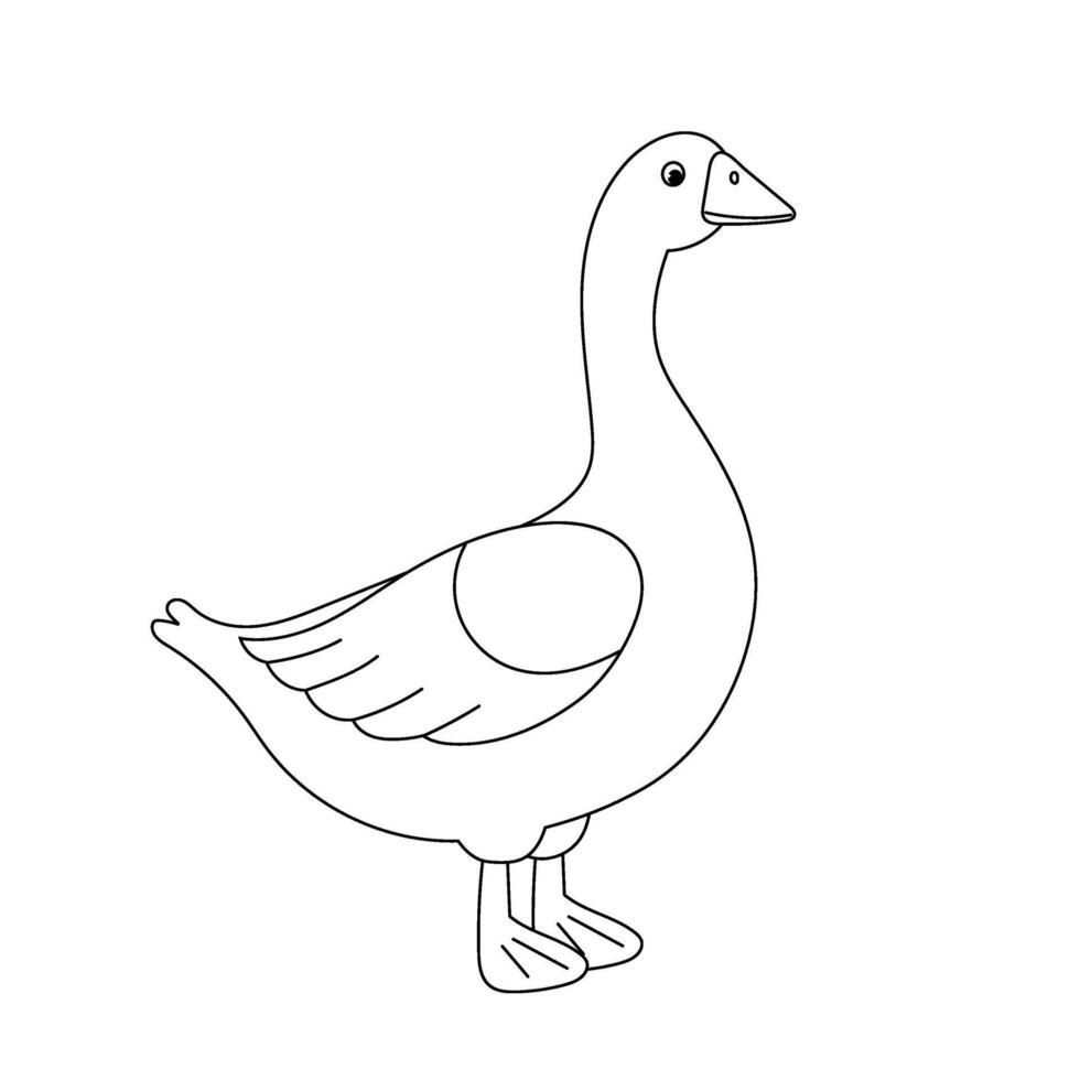 Contour illustration goose. Goose in hand drawn style. Farm bird isolated on white background. Domestic animal. vector