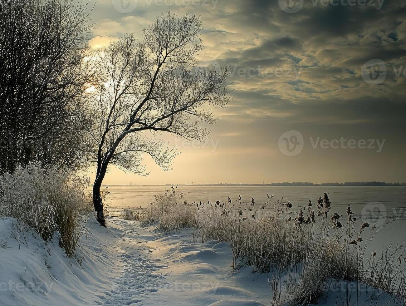 Snowy riverside landscape with a lone tree under a cloudy sky during winter twilight photo