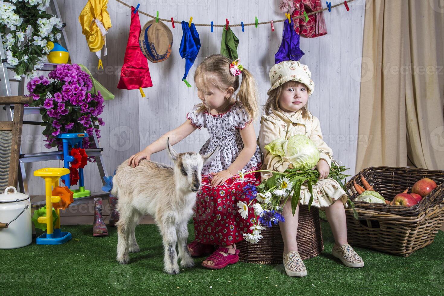 Two little girls are sitting on a green grassy area with a goat photo